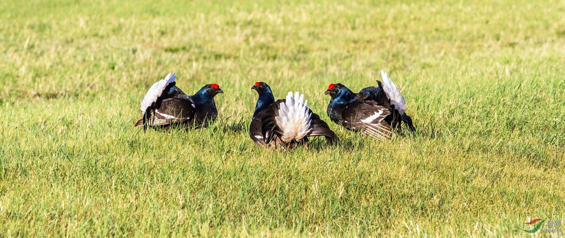 IMG_9200 - ���� - ����.JPG