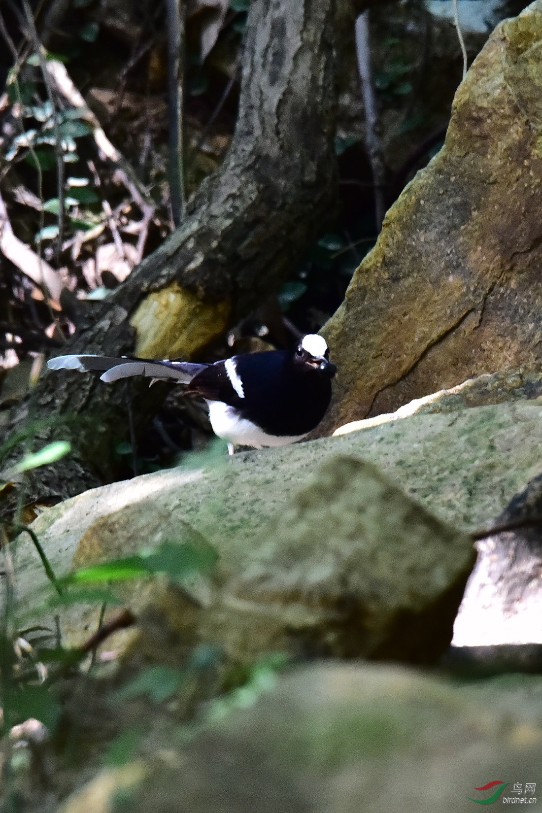 DSC_0670.JPG