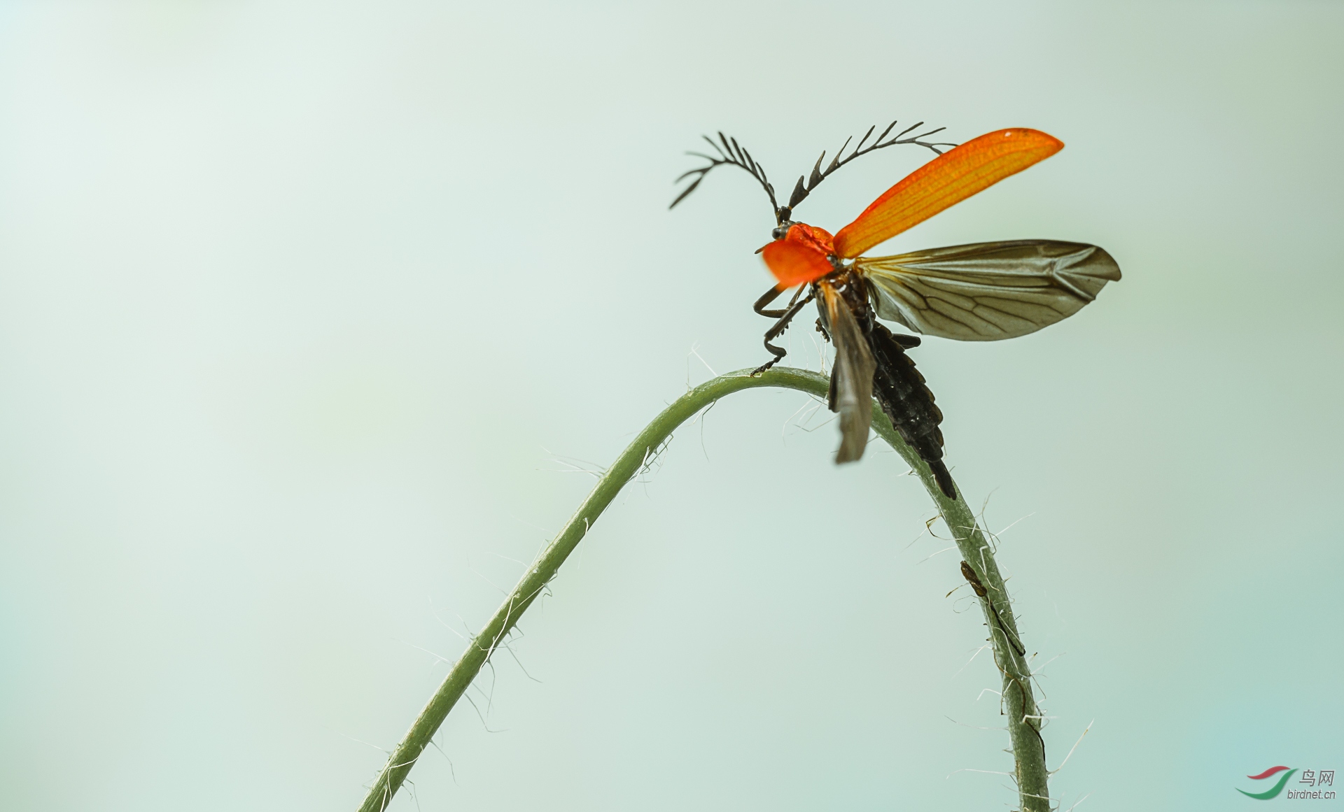 δ����-03406.jpg