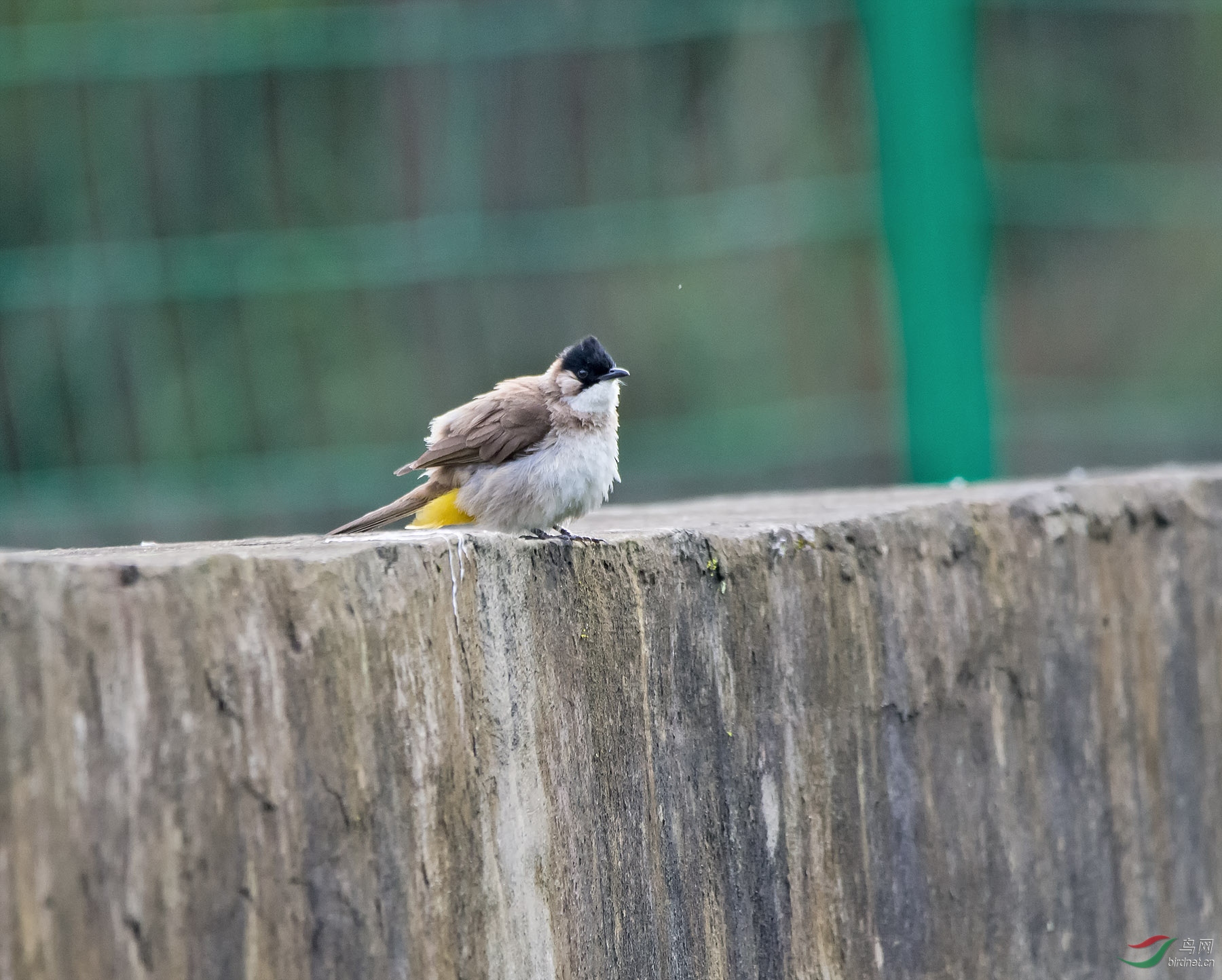 DSC_9456.jpg