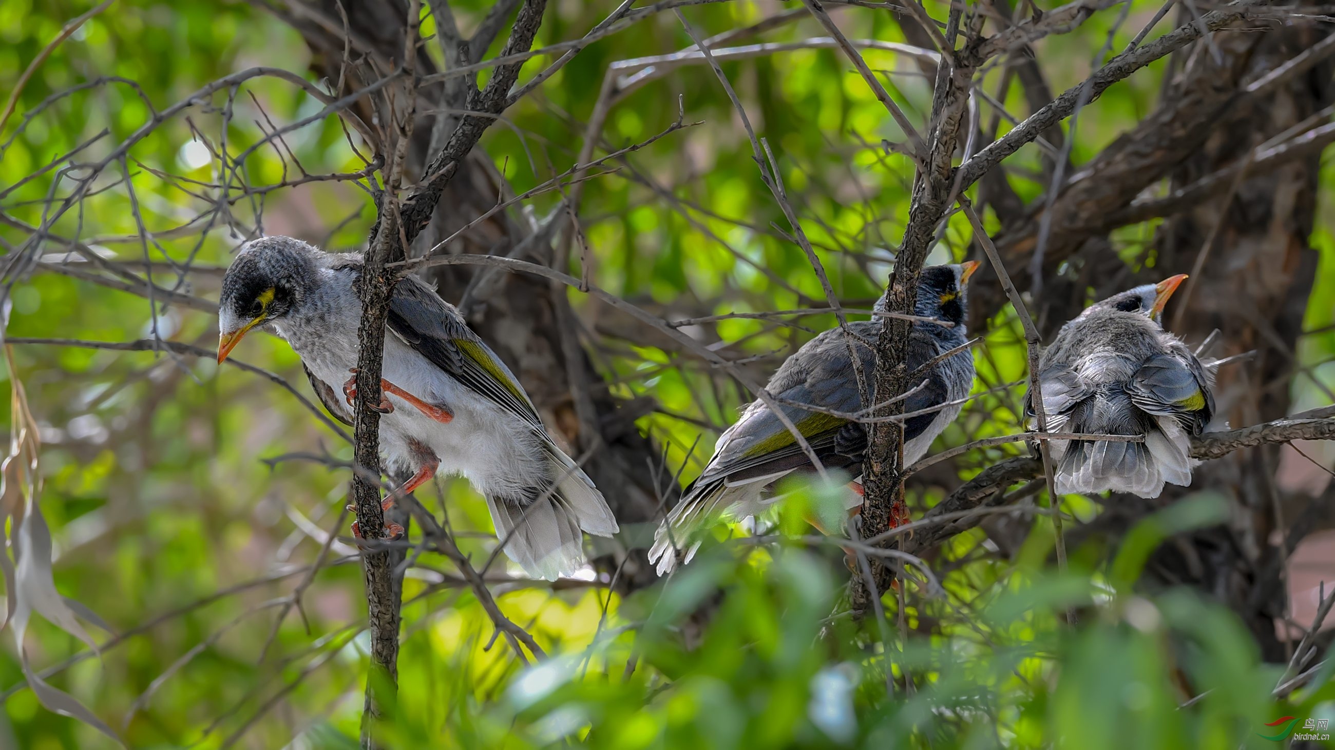 DSC_30521.jpg