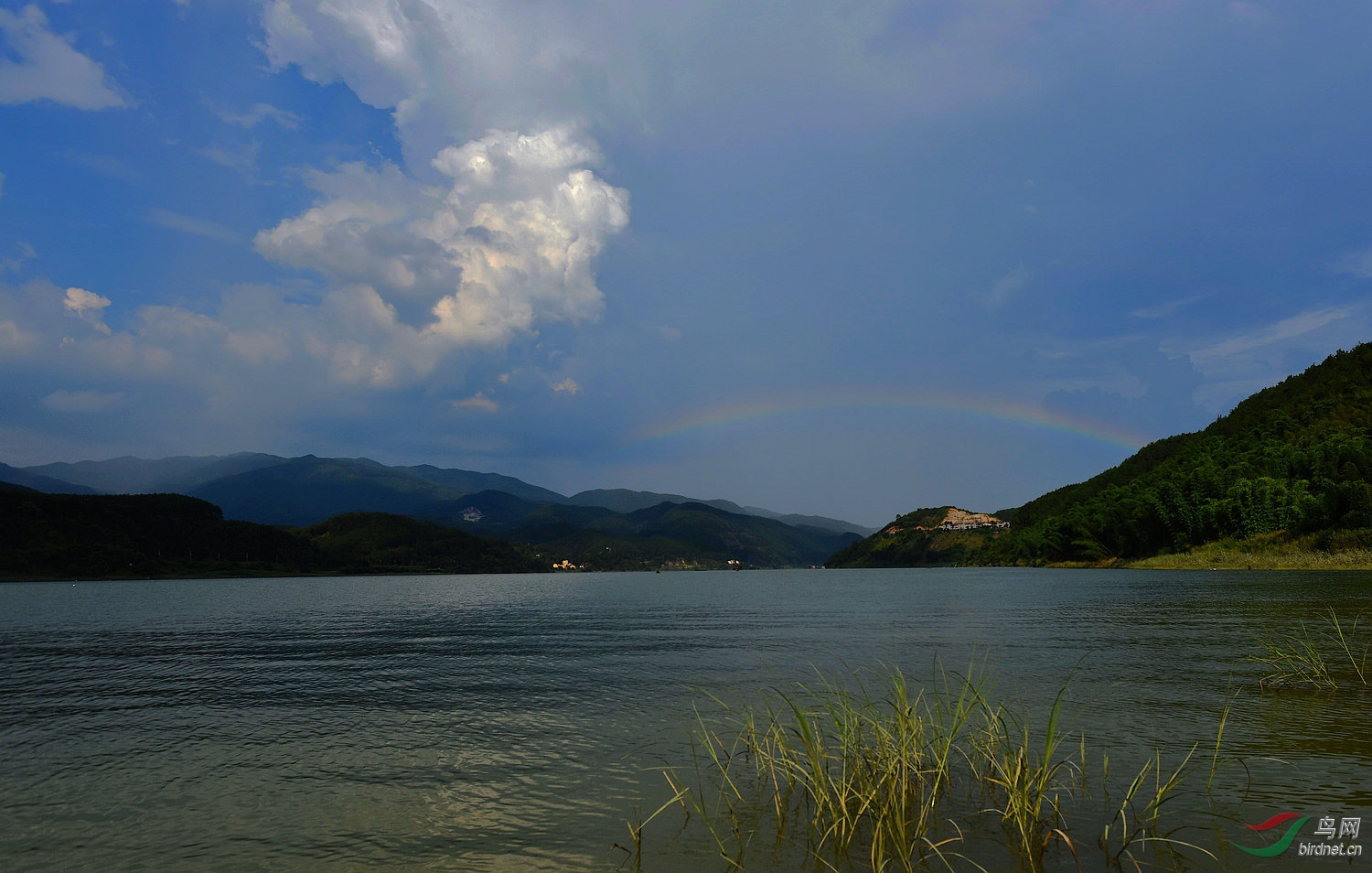 D8I_5815.jpg