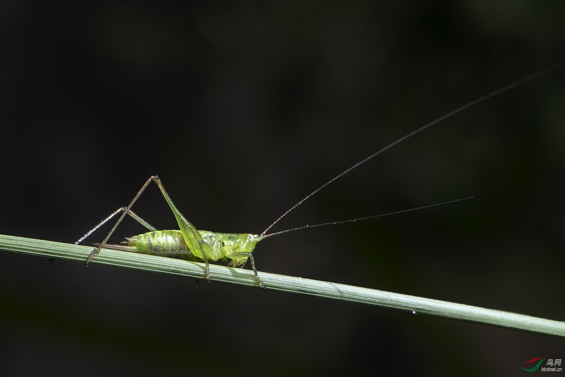 DSC_1577.jpg