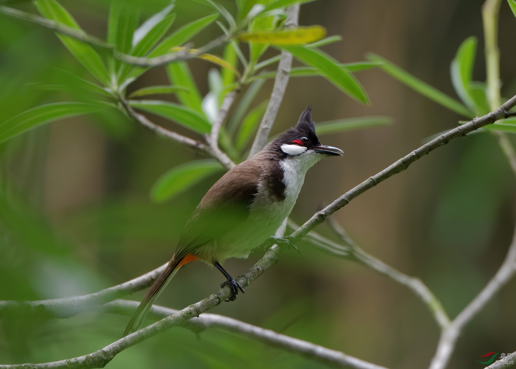 DSC_8255.jpg