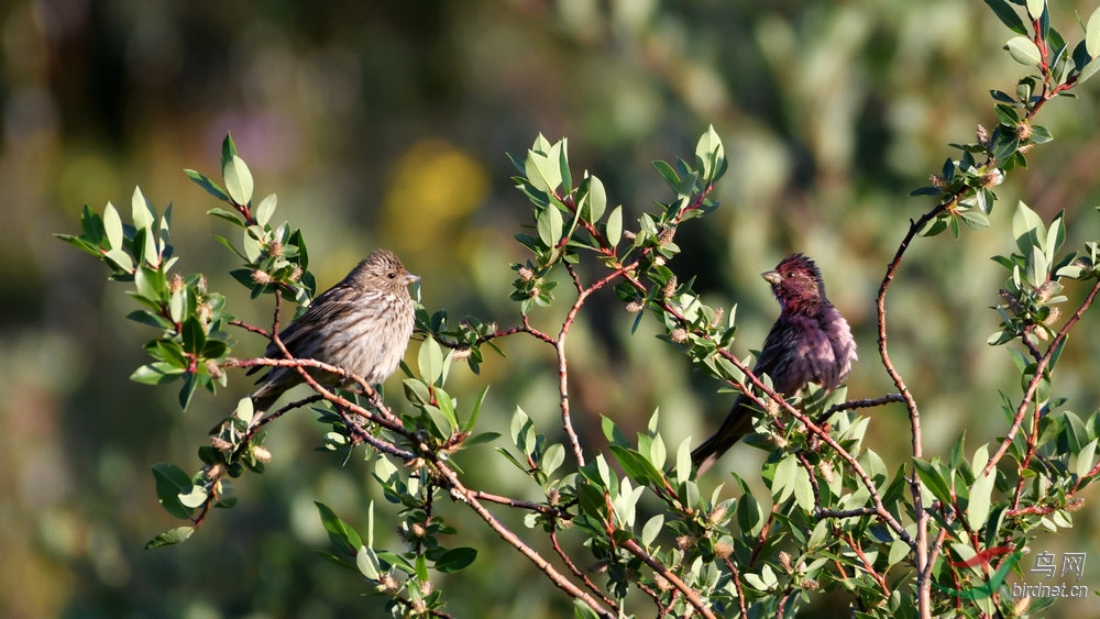 DSC_6178.jpg