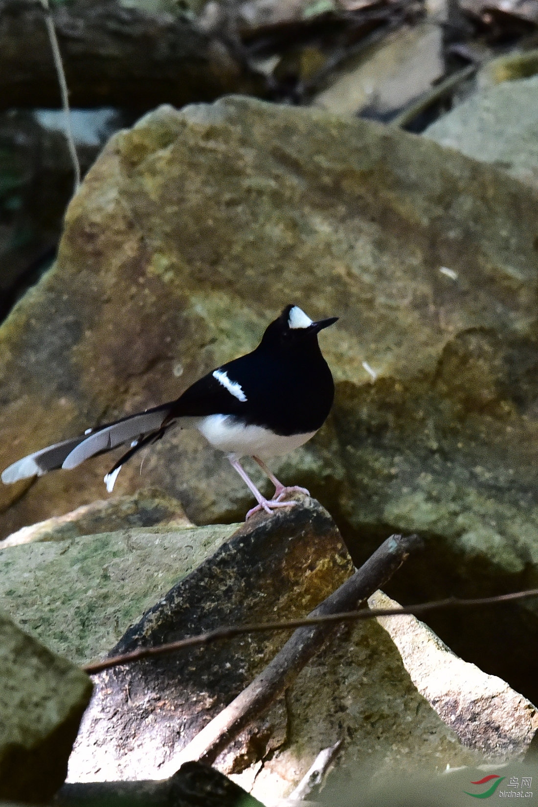 DSC_0681.JPG
