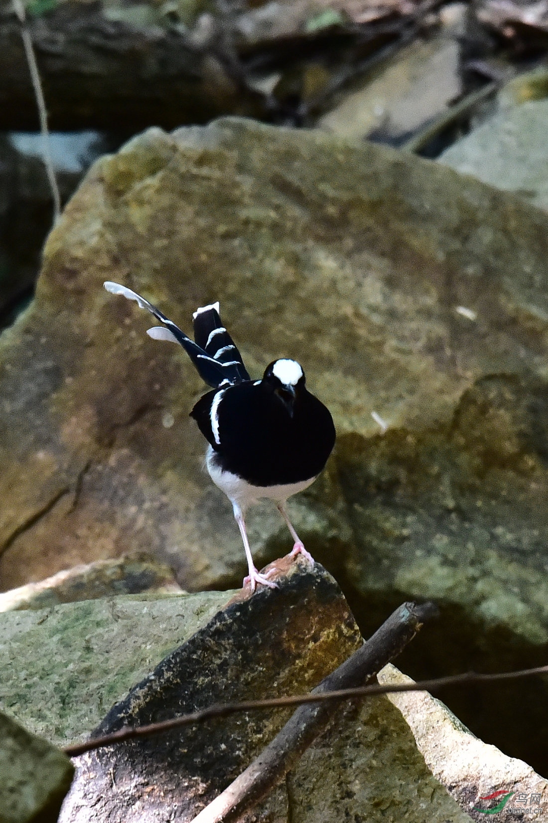 DSC_0682.JPG
