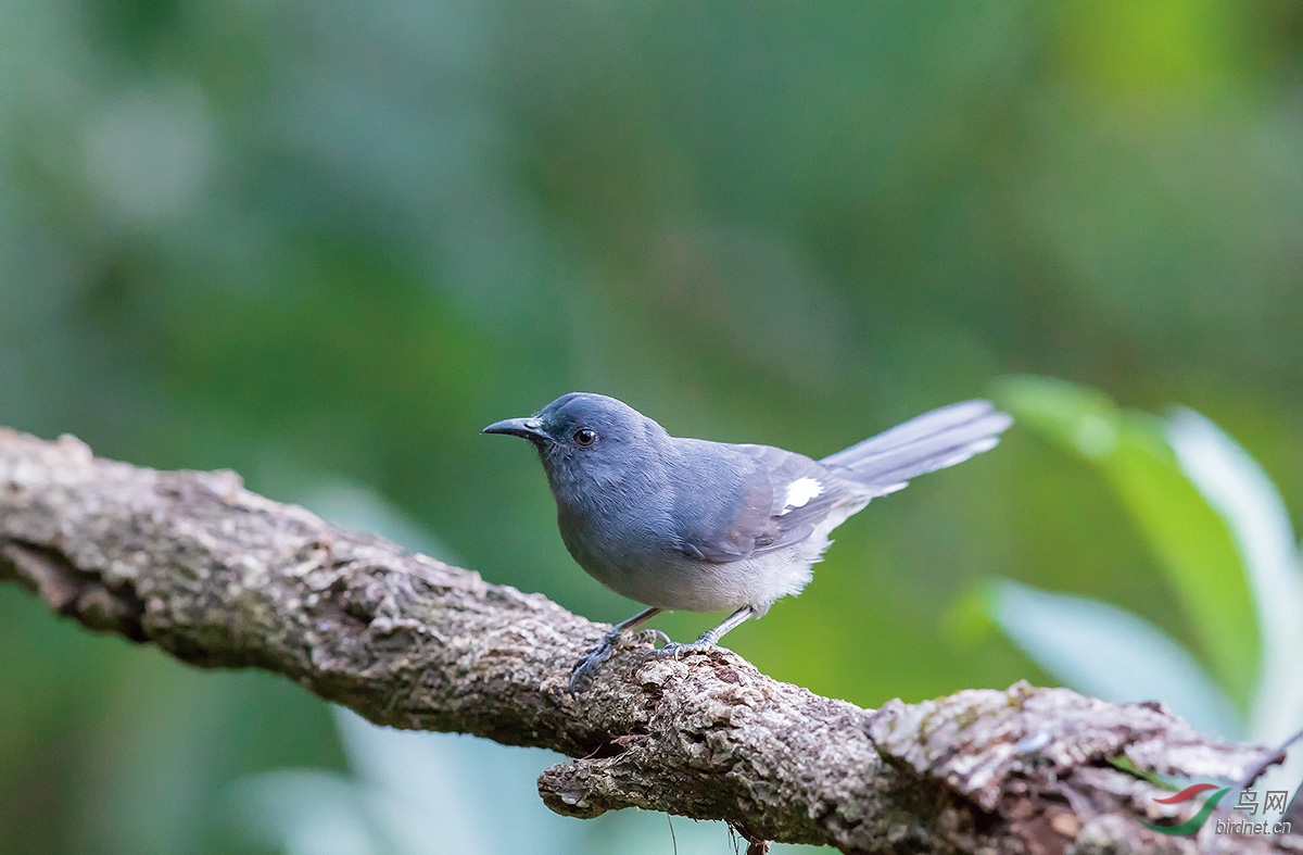 _A2I0377.jpg