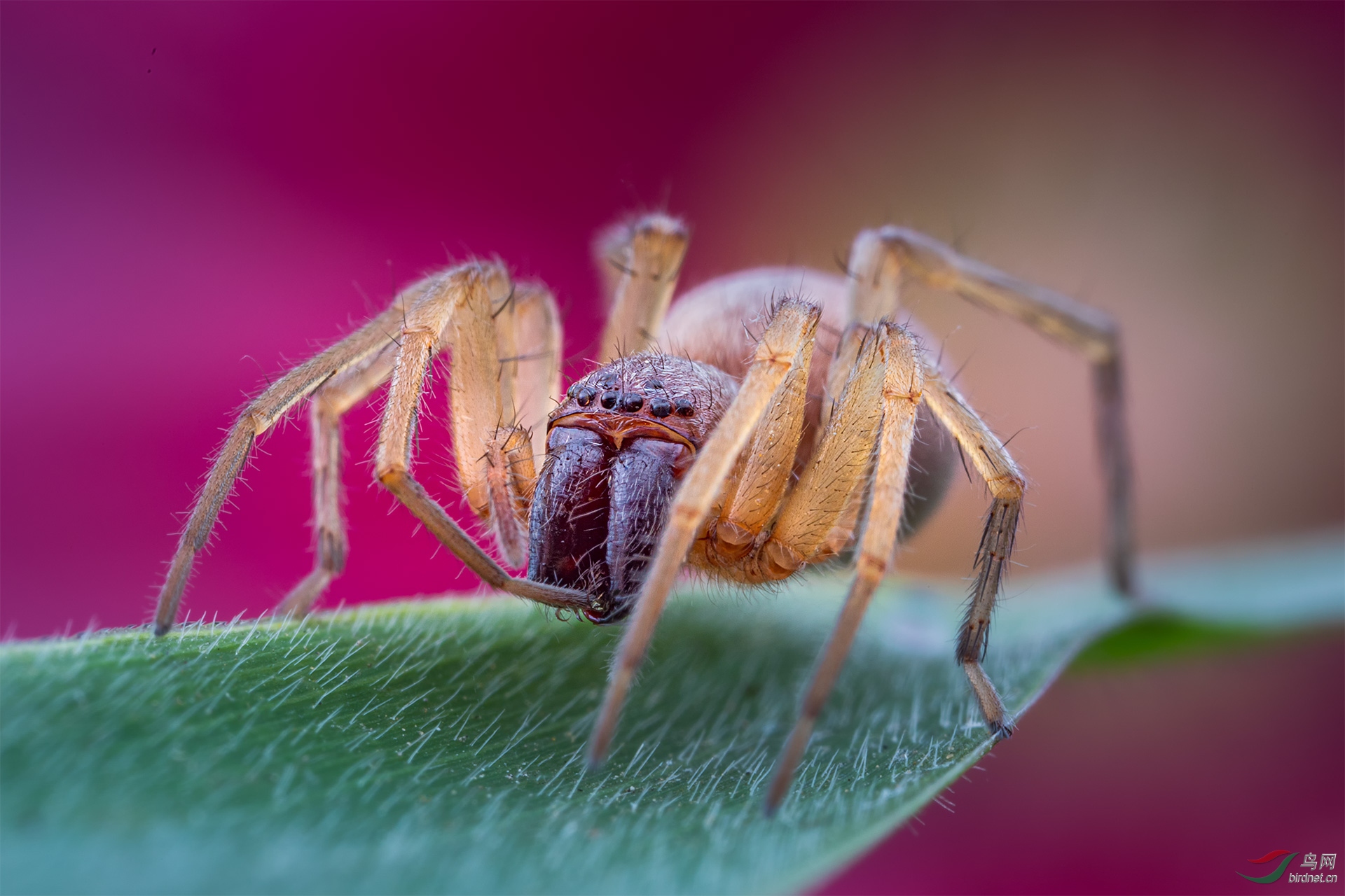 _G3A0756-1-3.jpg