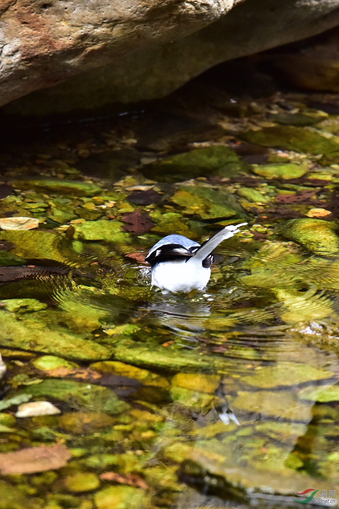 DSC_0693.JPG