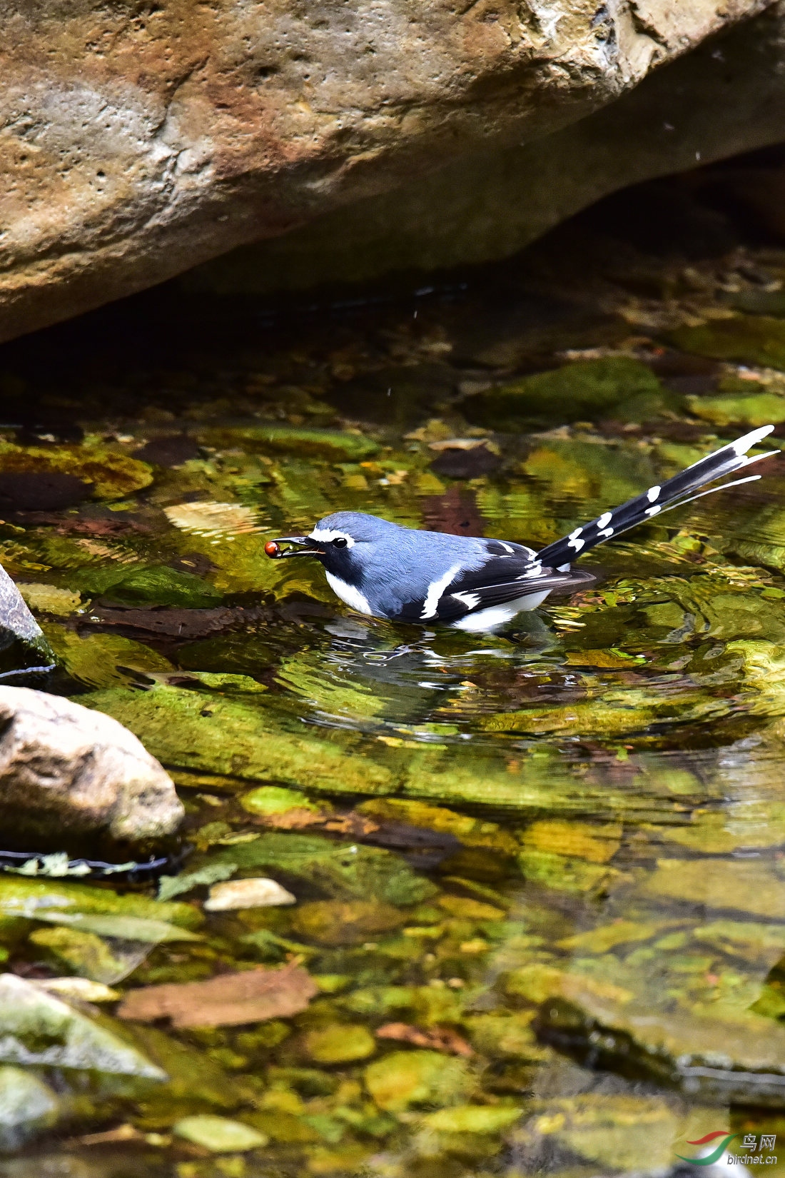 DSC_0694.JPG