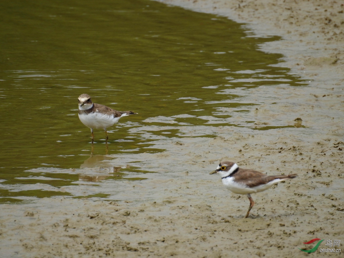 DSCN7108.JPG