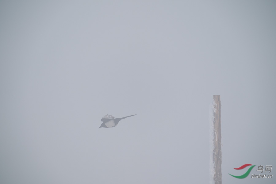 DSC00692.jpg