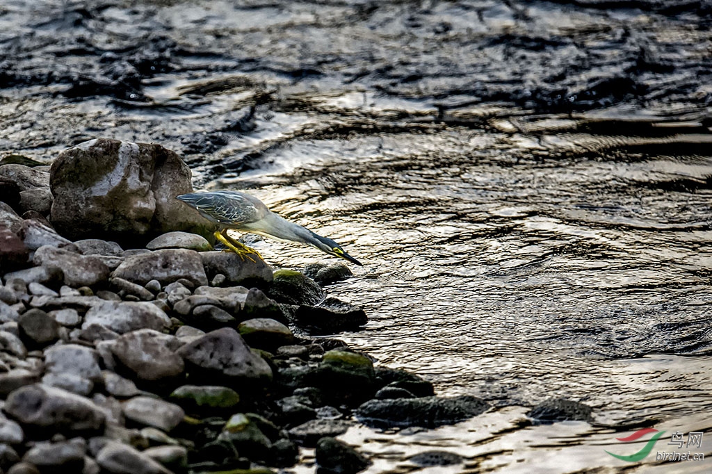 DSC_6714.jpg