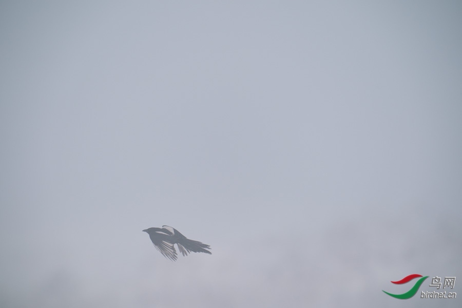 DSC00724.jpg