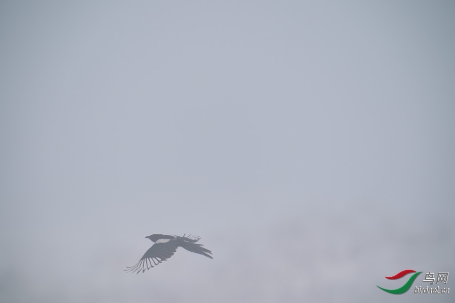 DSC00723.jpg
