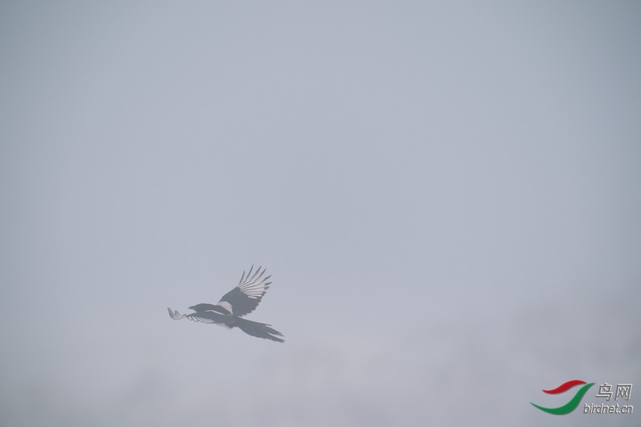 DSC00725.jpg
