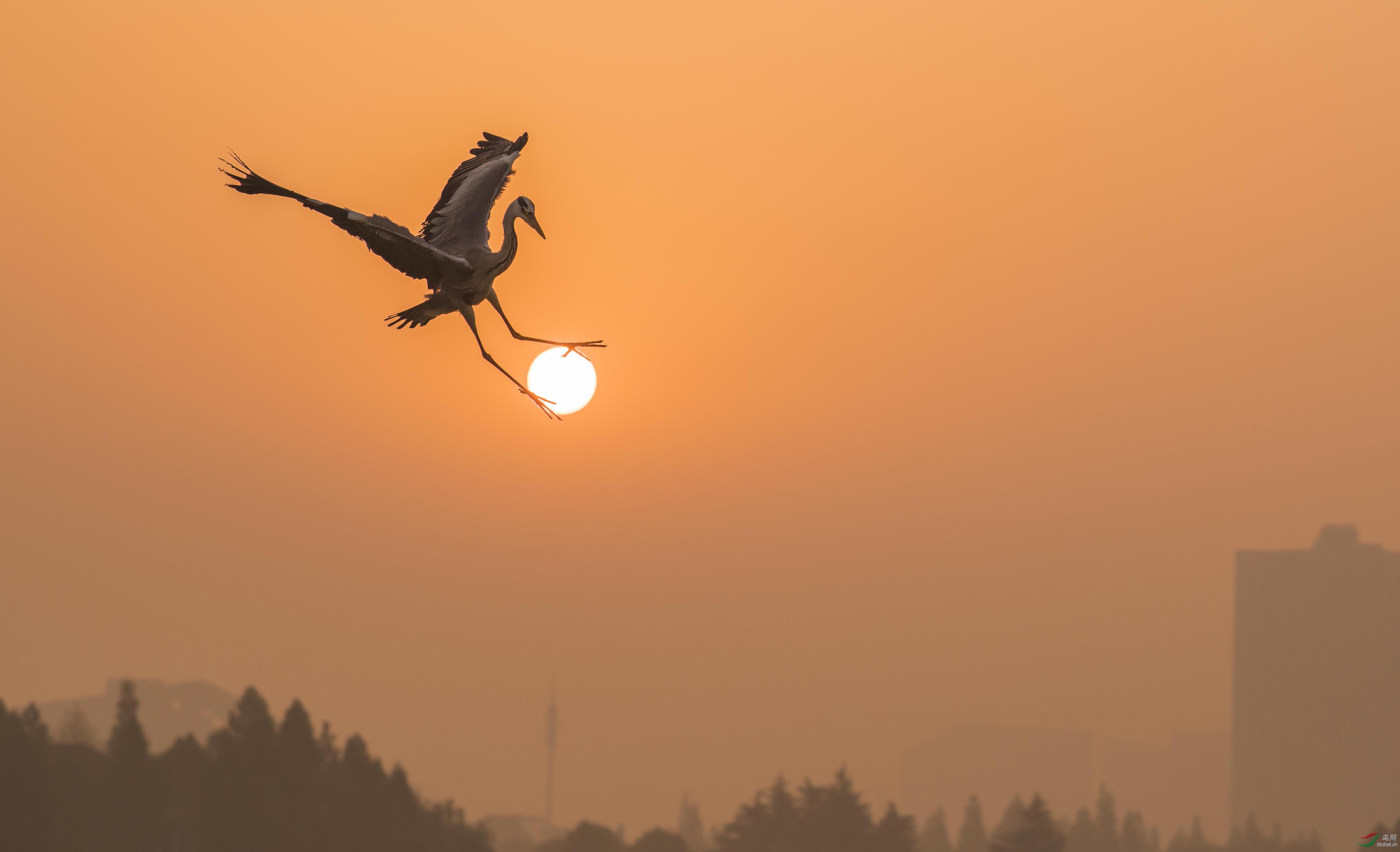 DSC_2448  �ҵ�̫��.jpg