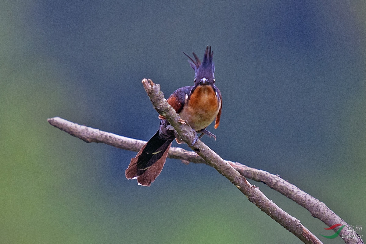 XSX_7485.jpg