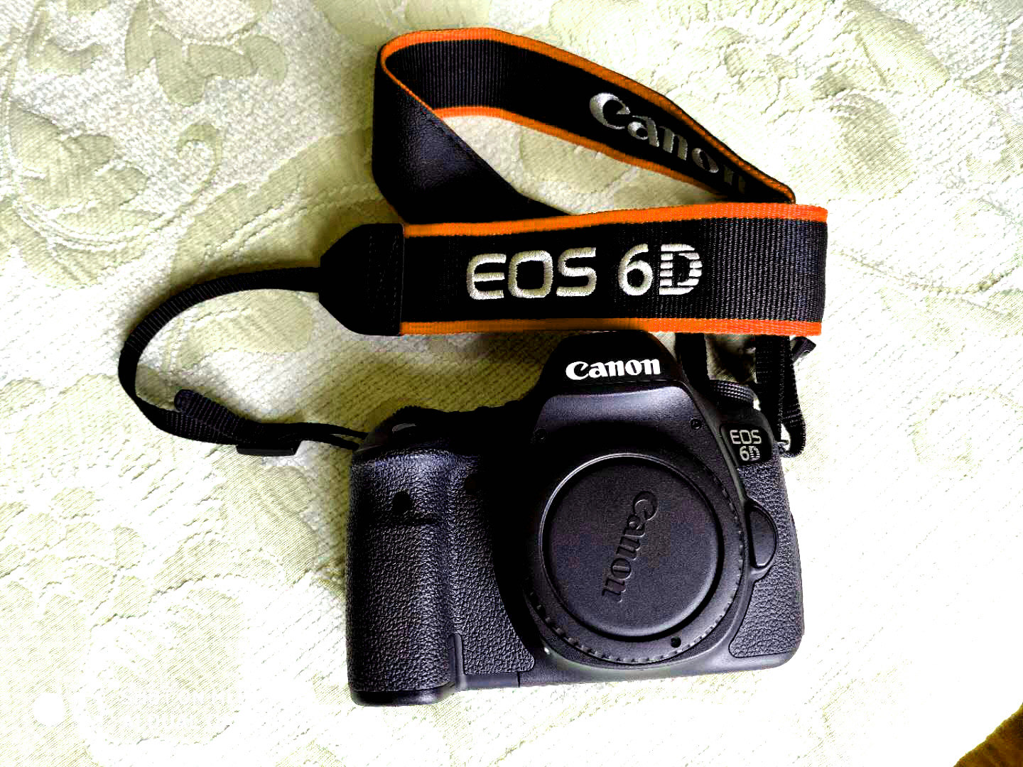 ����6D