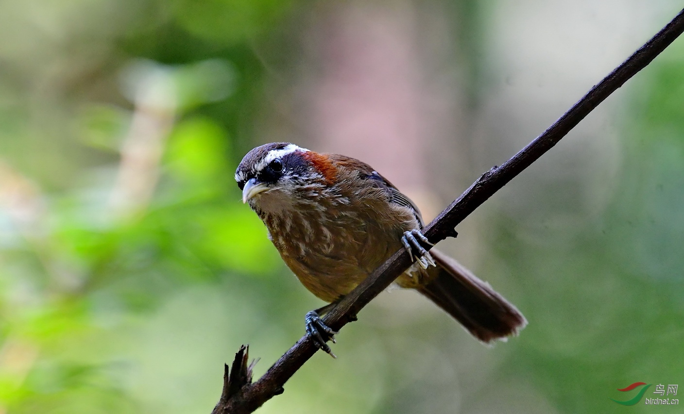 DSC_5565a.JPG