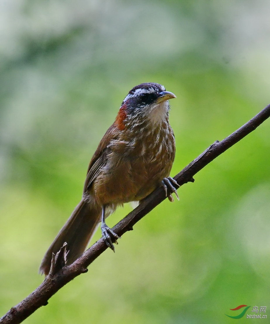 DSC_5571a.JPG