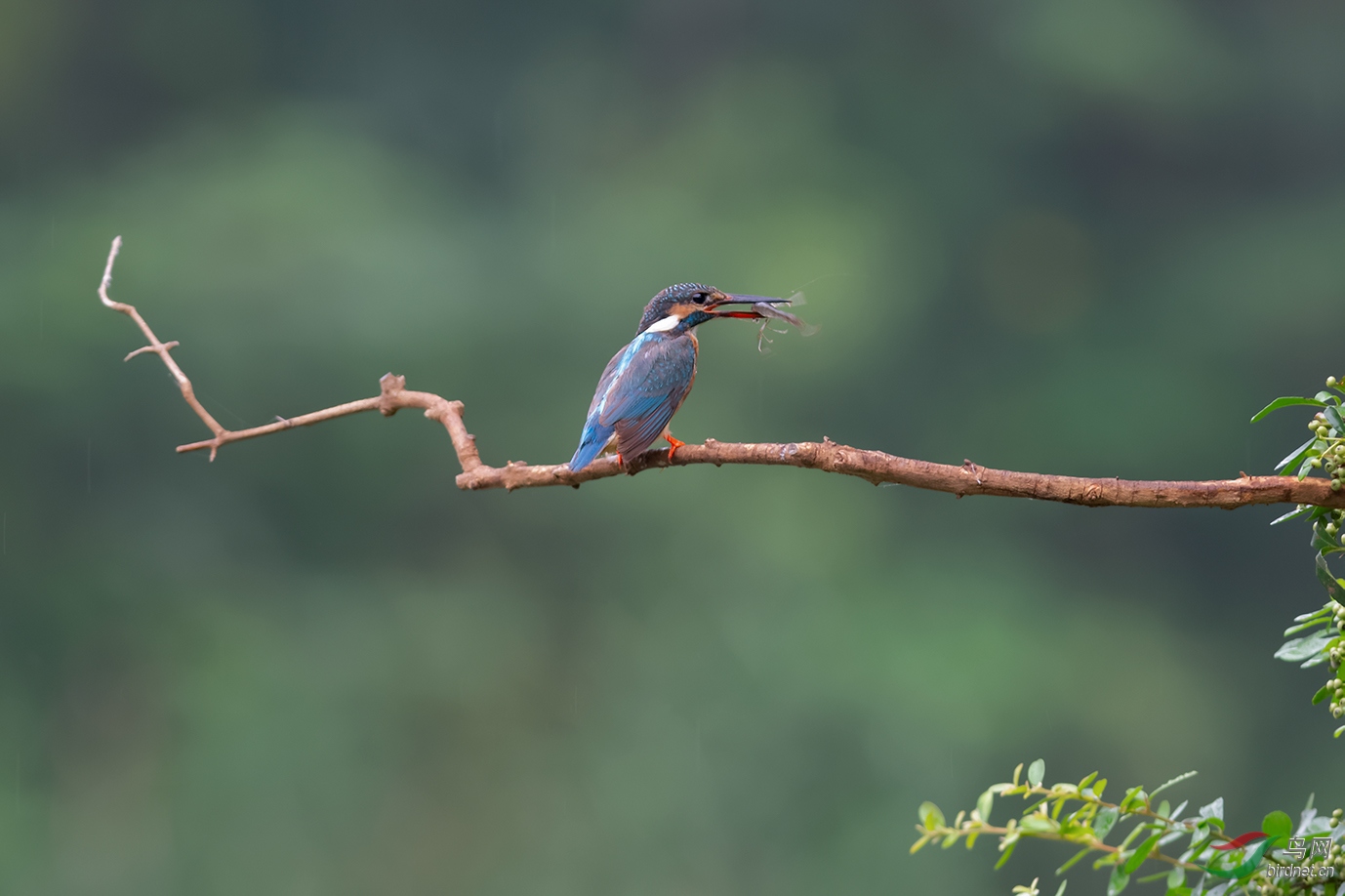DSC_1941_DxOa.jpg