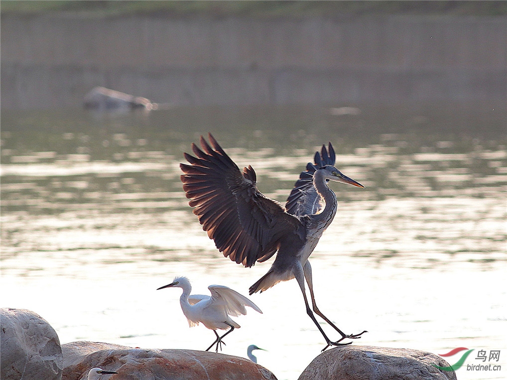 μ��ʪ�ع�԰   ���� 