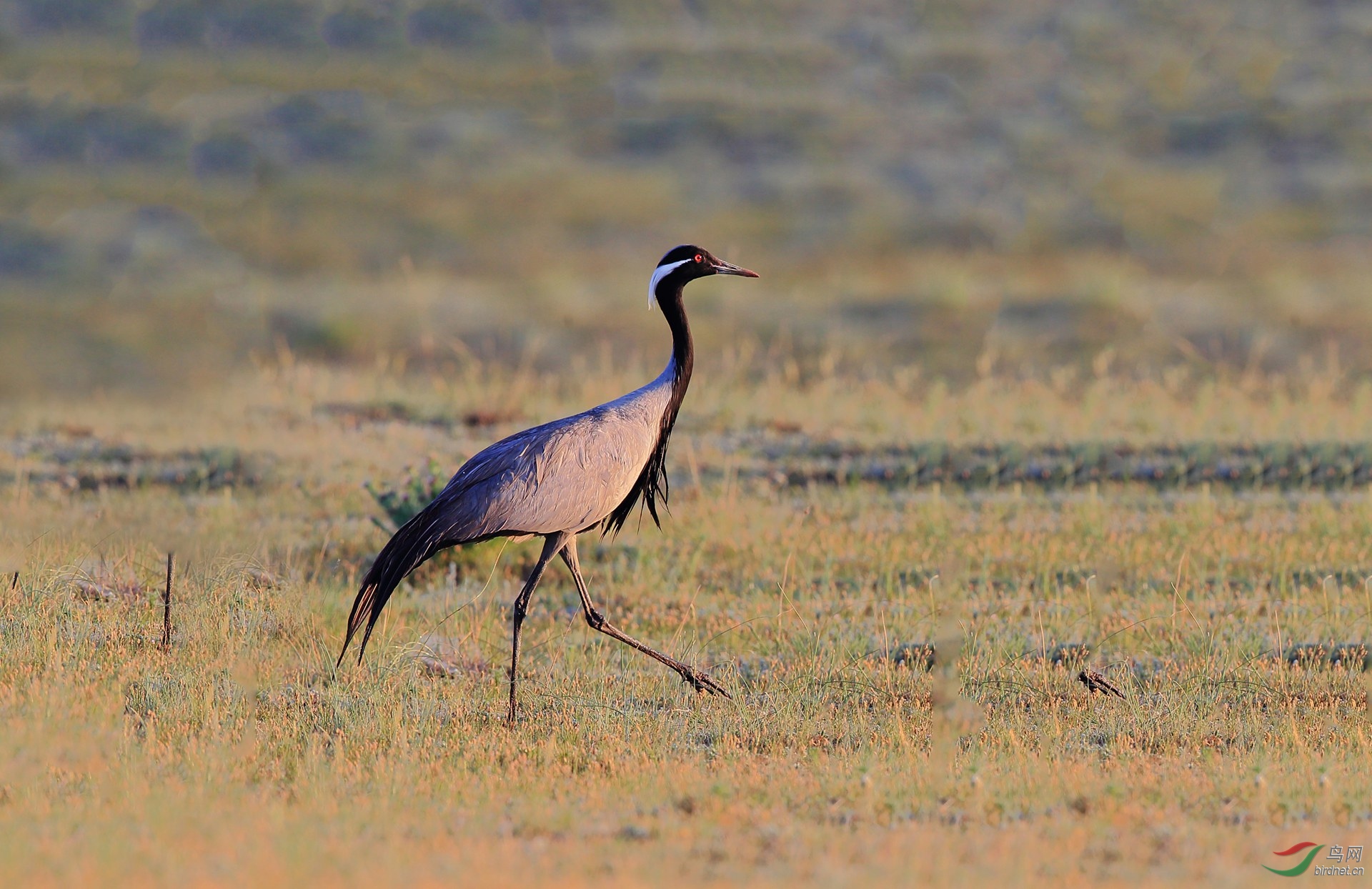 BW4Q7034 - ���� (2).JPG