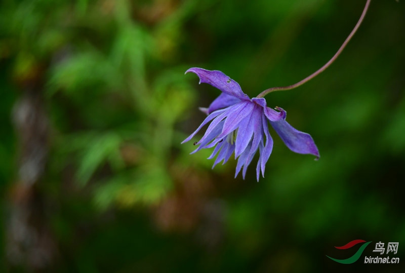 DSC_4427.JPG