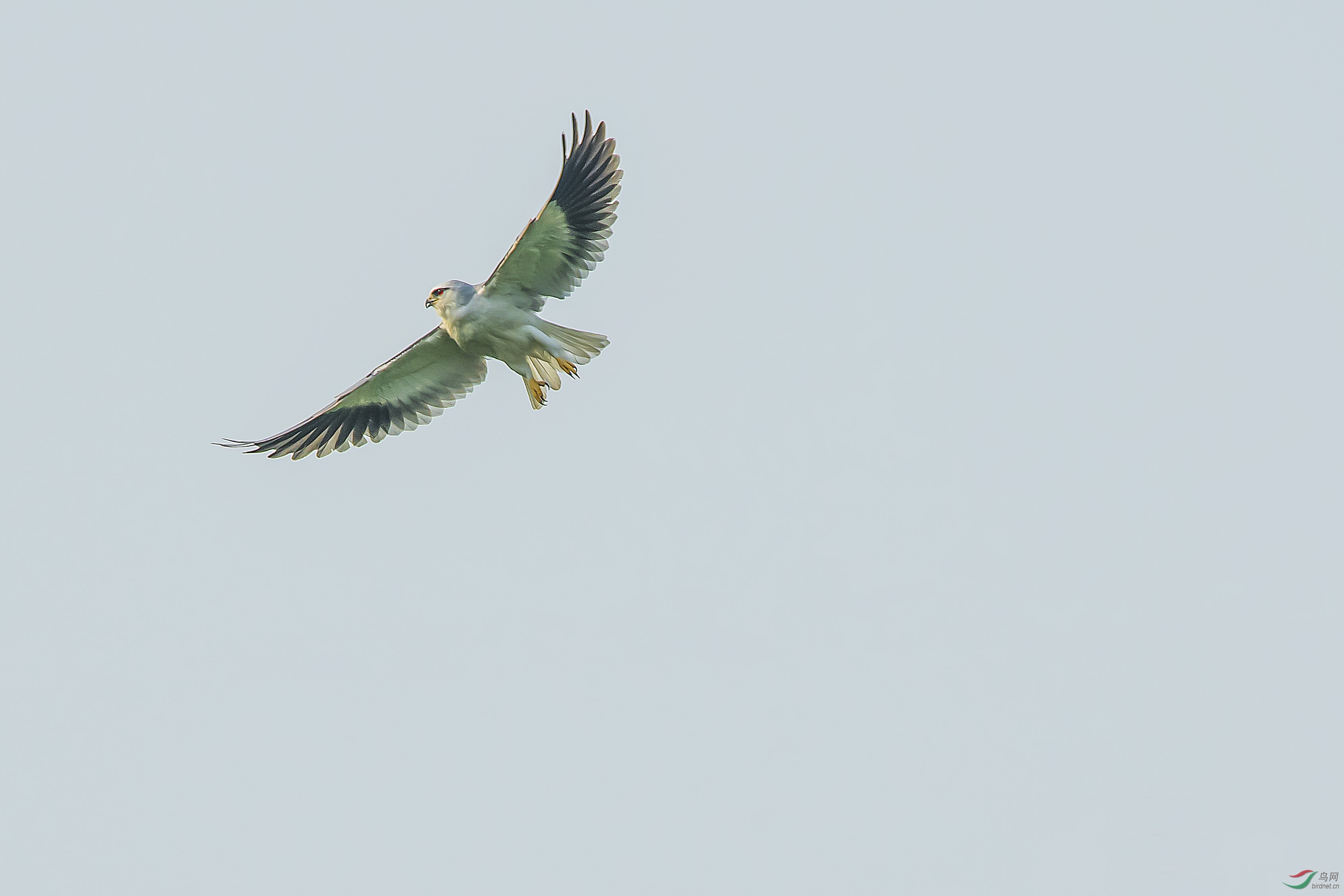 DSC_2833 �ڳ��S.jpg