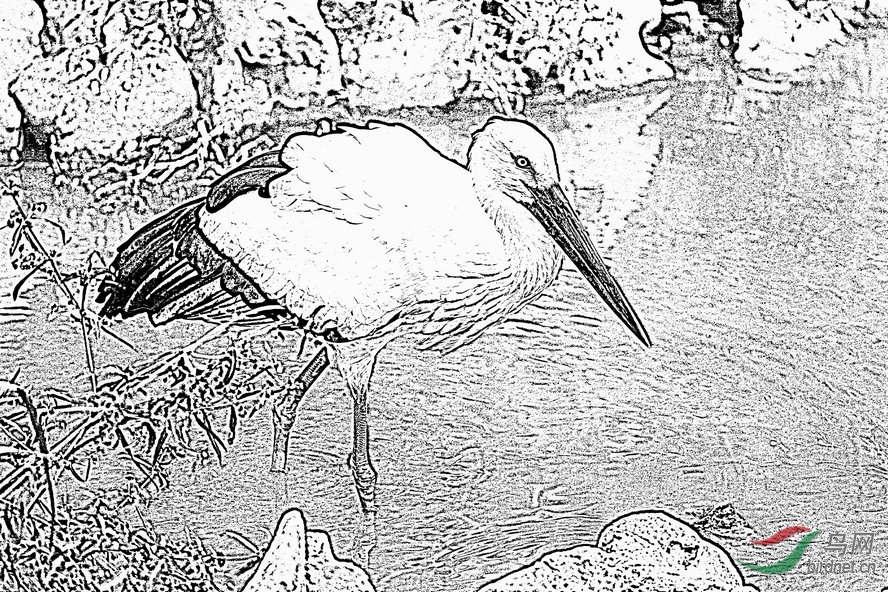 BW6I0253_����_����1_����1_����.jpg