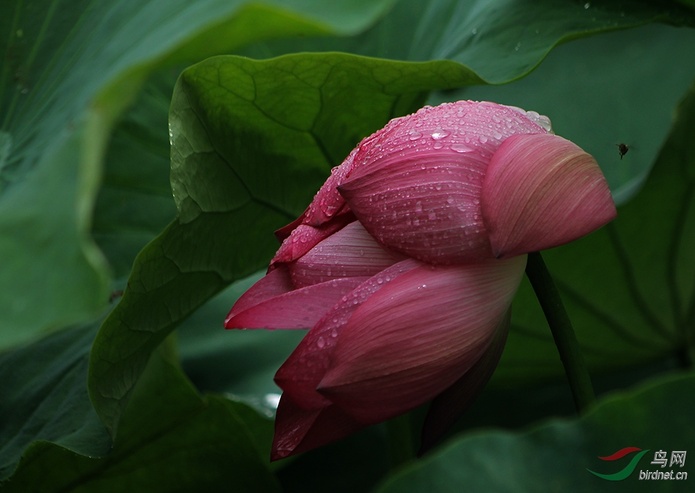 ̴�۲����㺹ʪ��