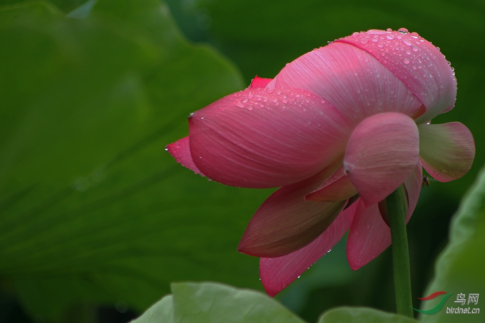 һ��������˷���