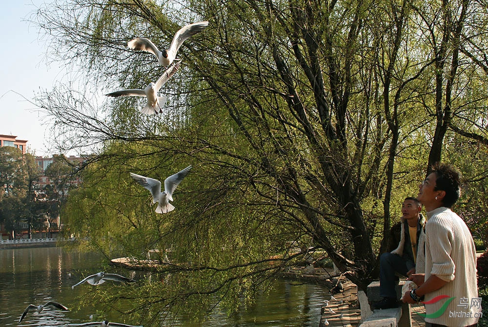 ������� 239.1.jpg