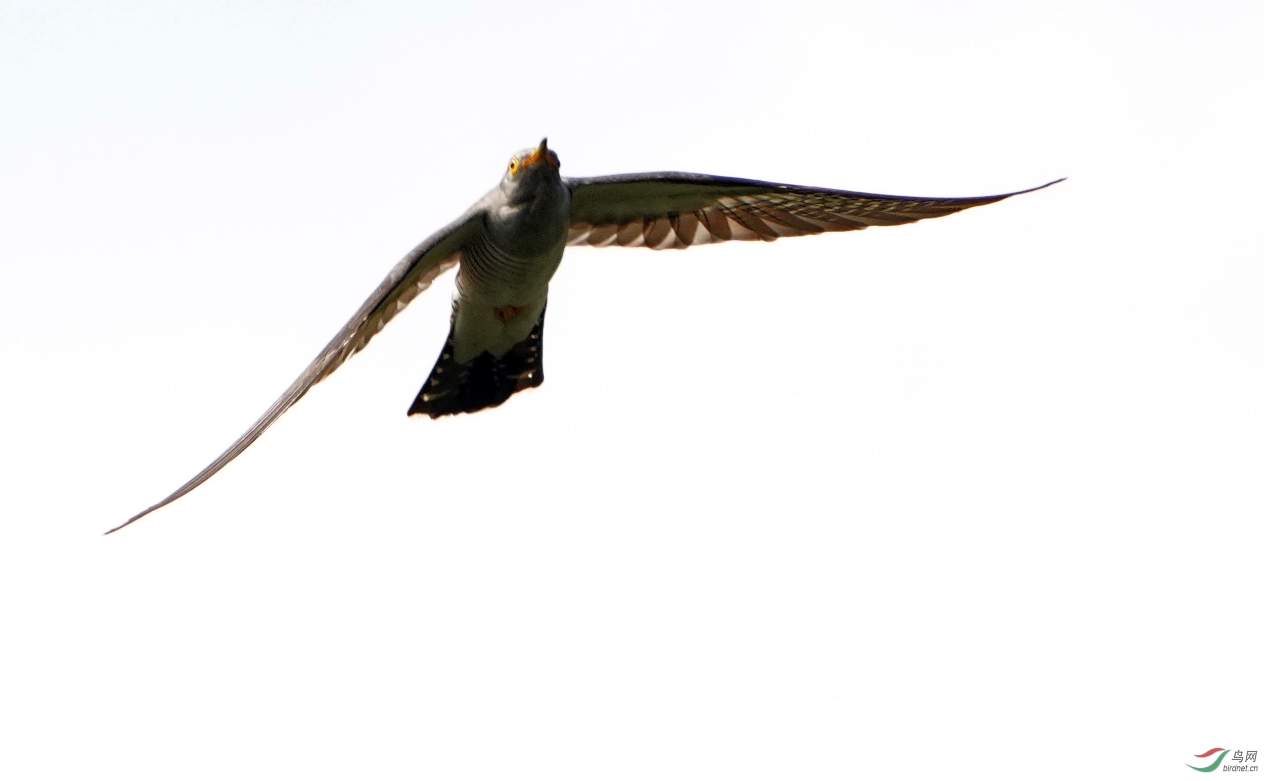 DSC00763_��ͼ��.jpg