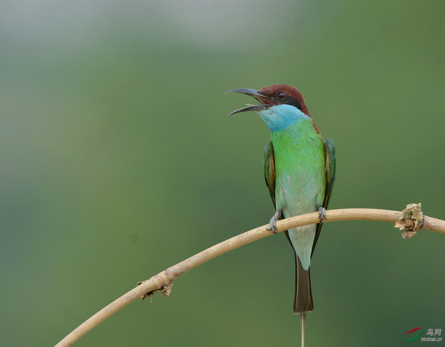D72_9975.jpg