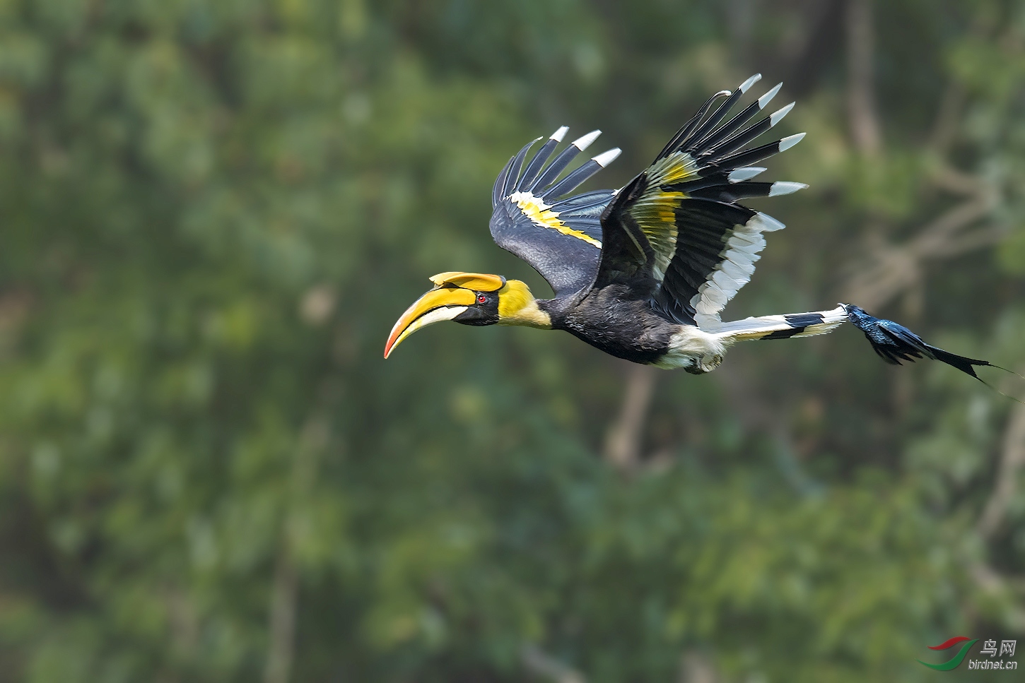 DSC_5838.jpg