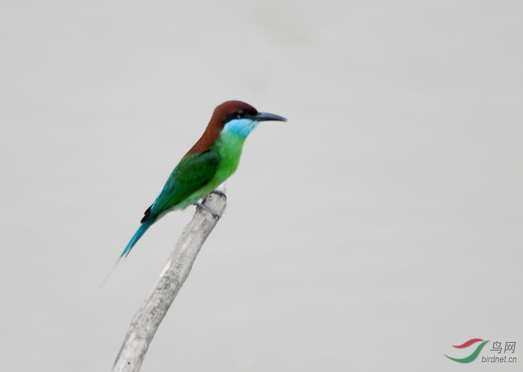 DSC_9646_����.jpg