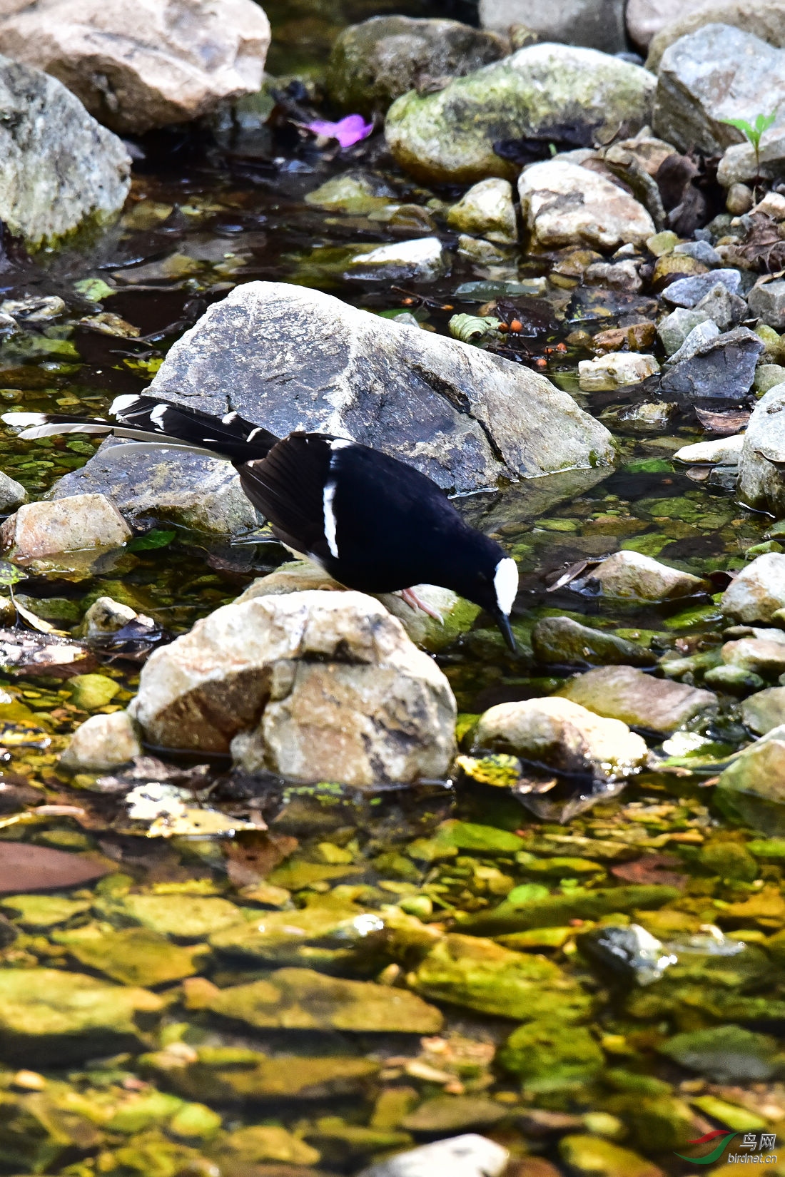 DSC_0719.JPG