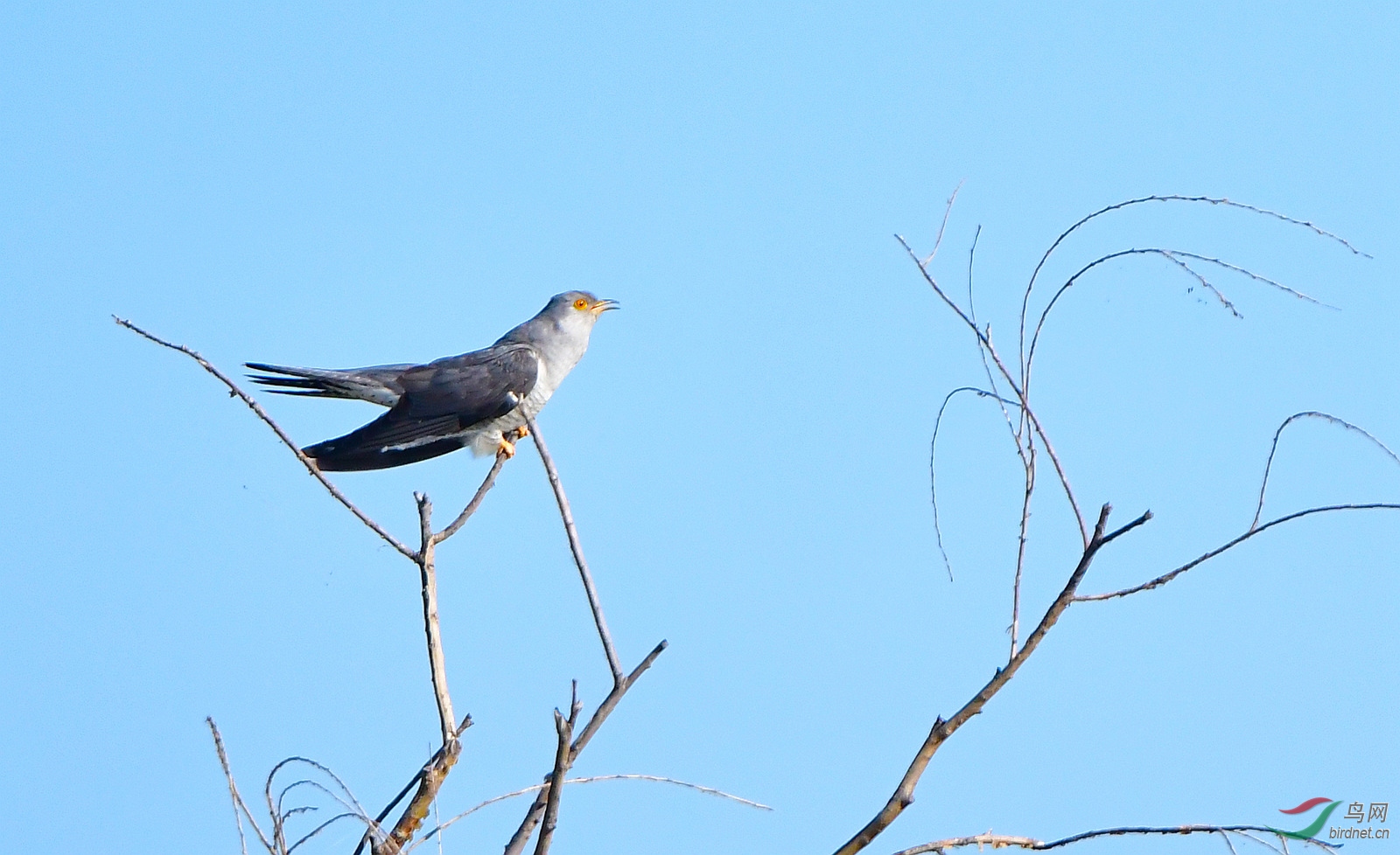 1DSC_6903_����.jpg