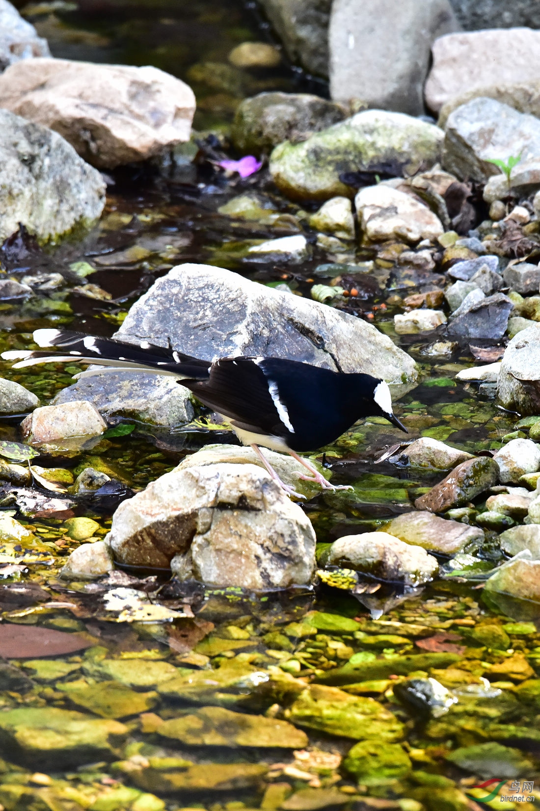 DSC_0721.JPG