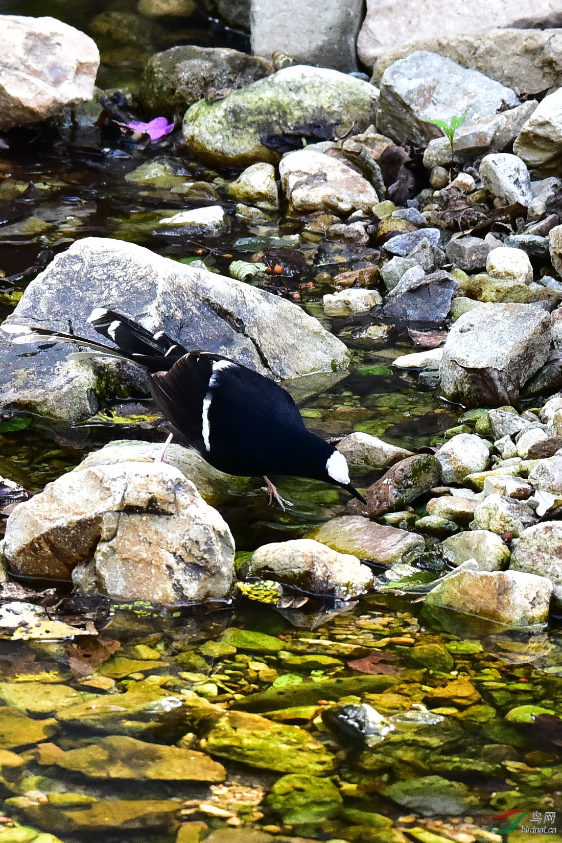 DSC_0722.JPG