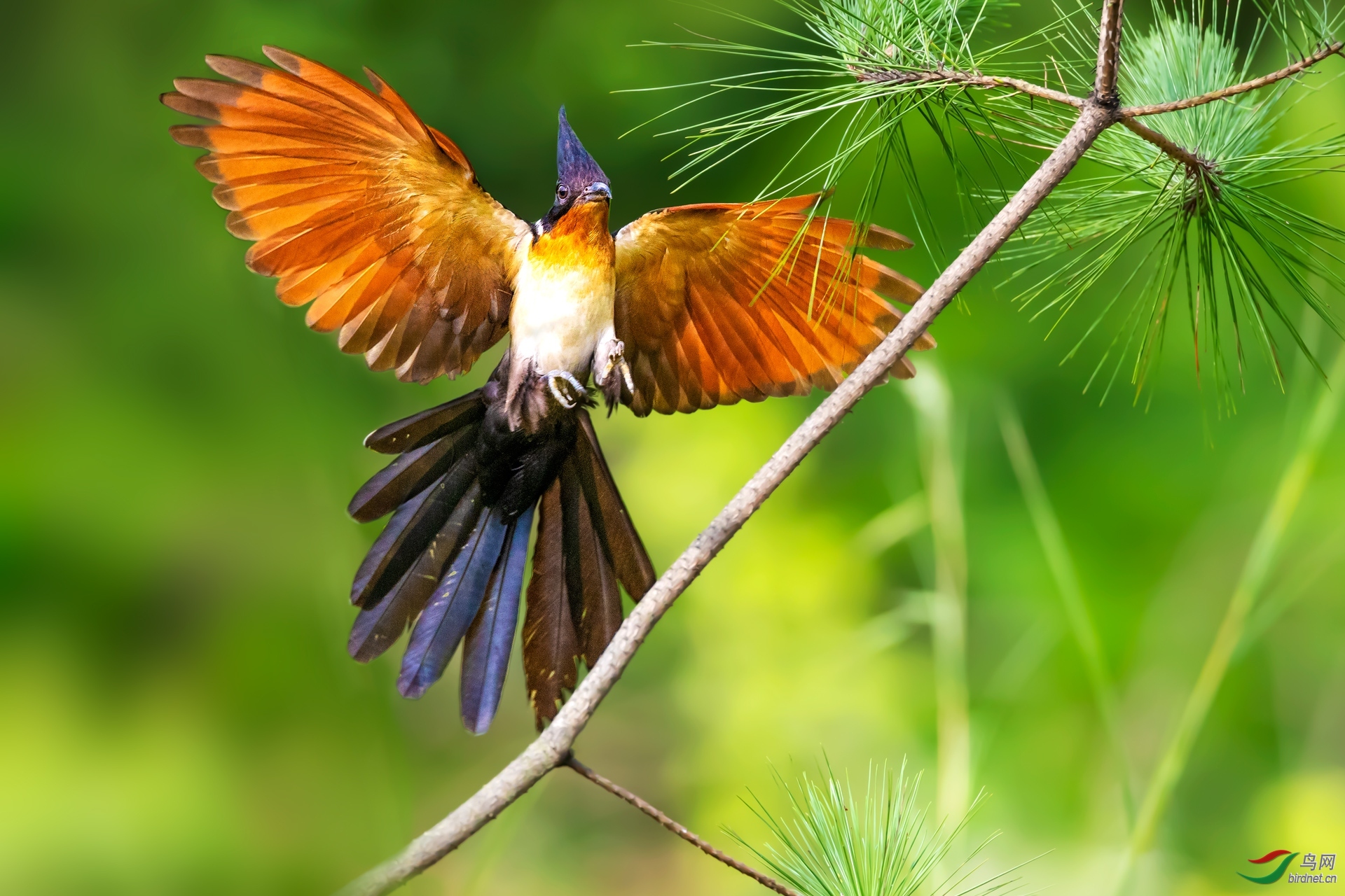 �����ӽ� ��ʦ�����ں���ʡ�Ƹ���.jpg