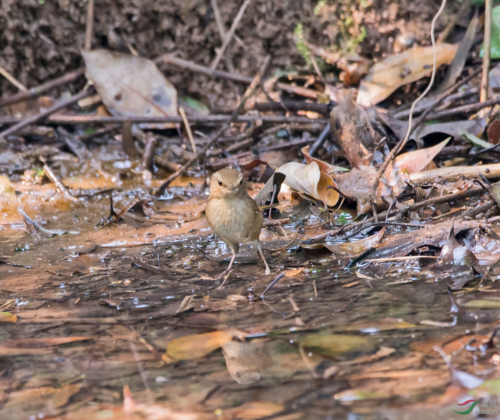 DSC_5746.jpg