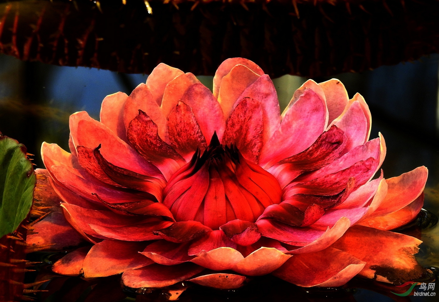 DSCN8540.JPG