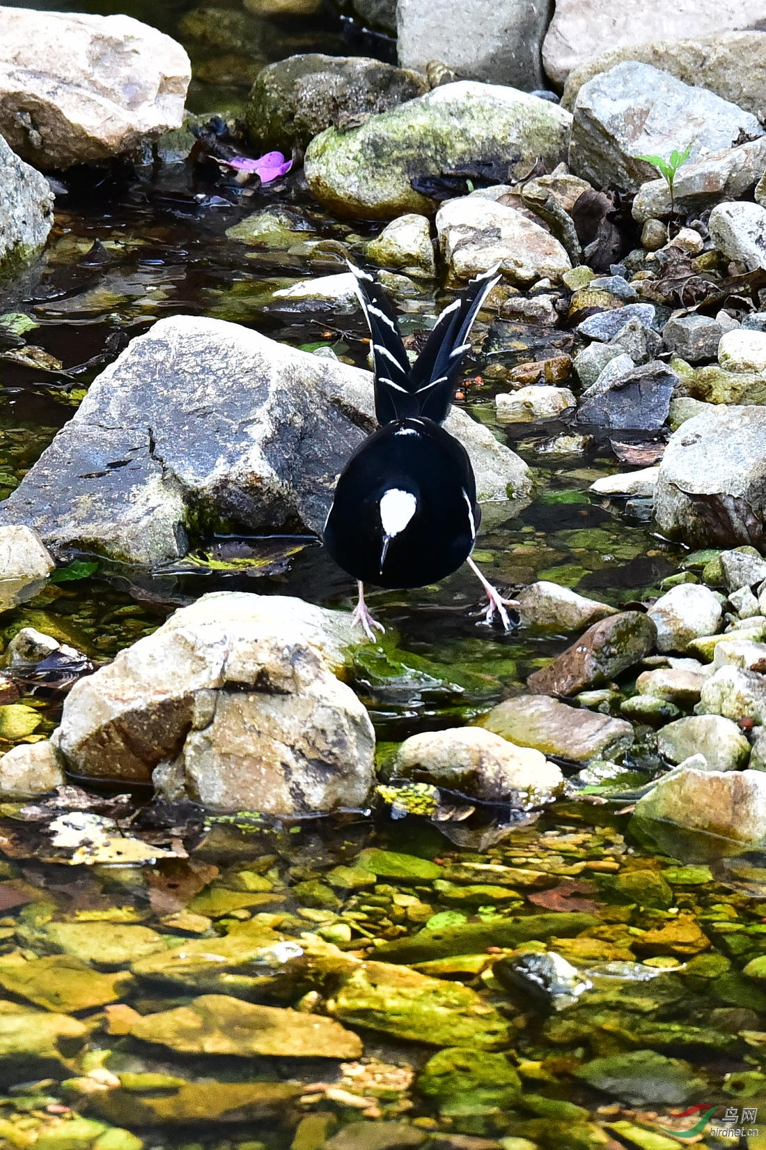 DSC_0727.JPG