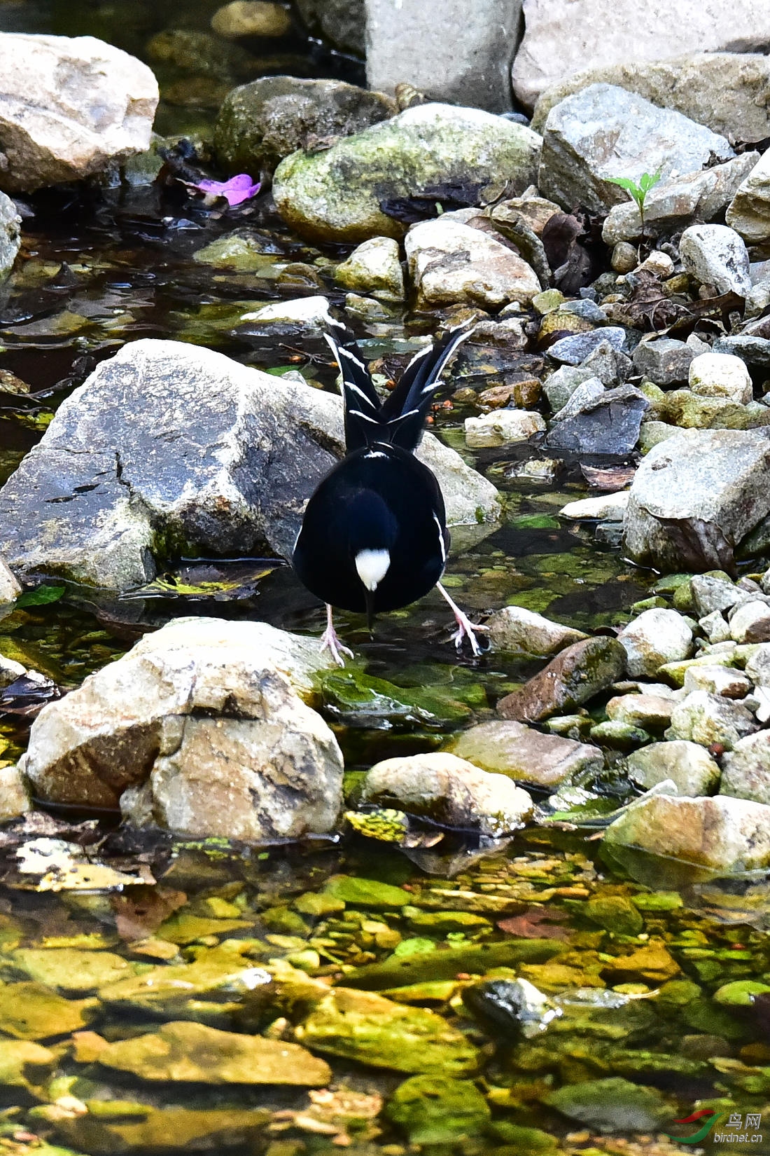 DSC_0728.JPG