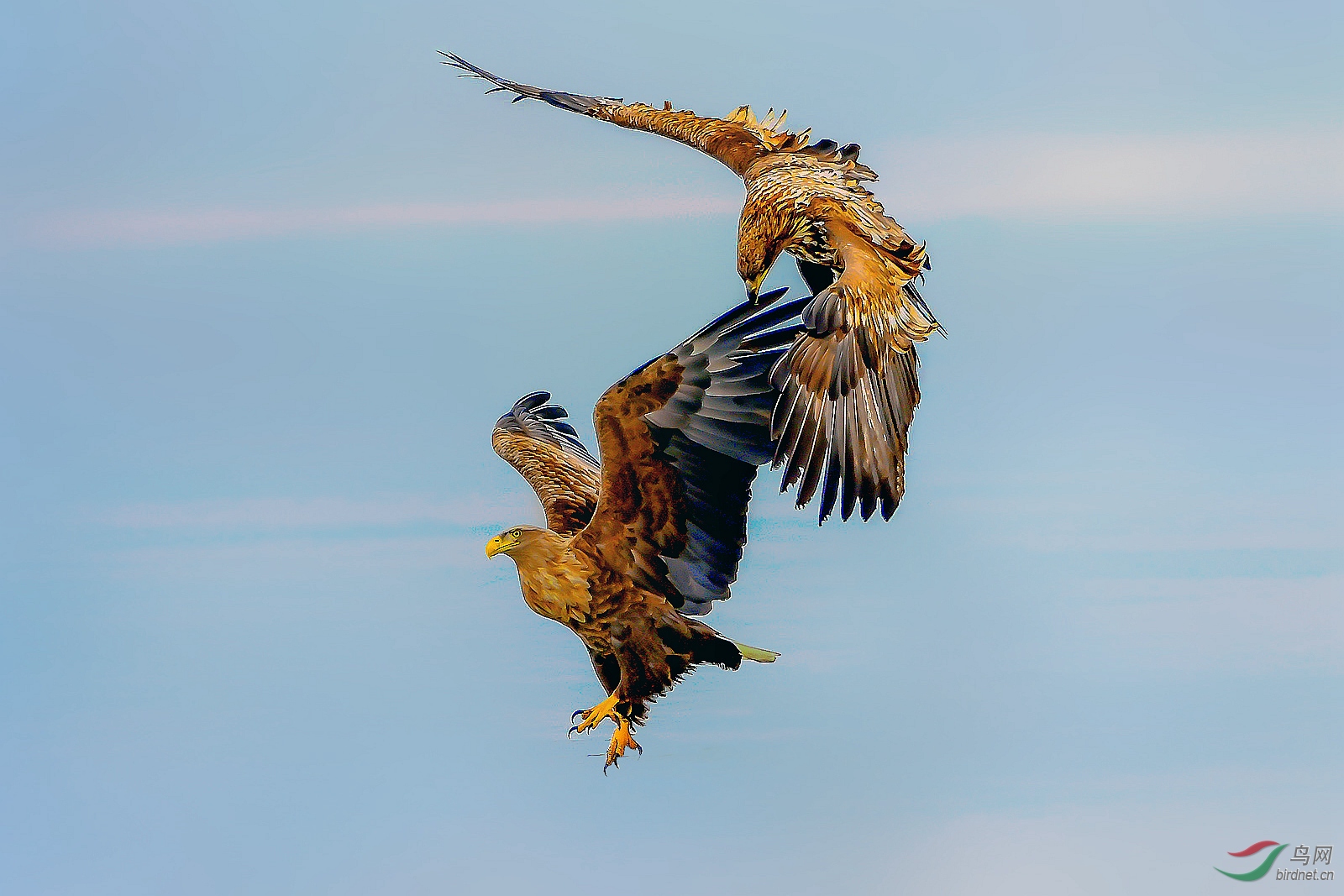 DSC_2405_���� (3)_����_����_����.jpg