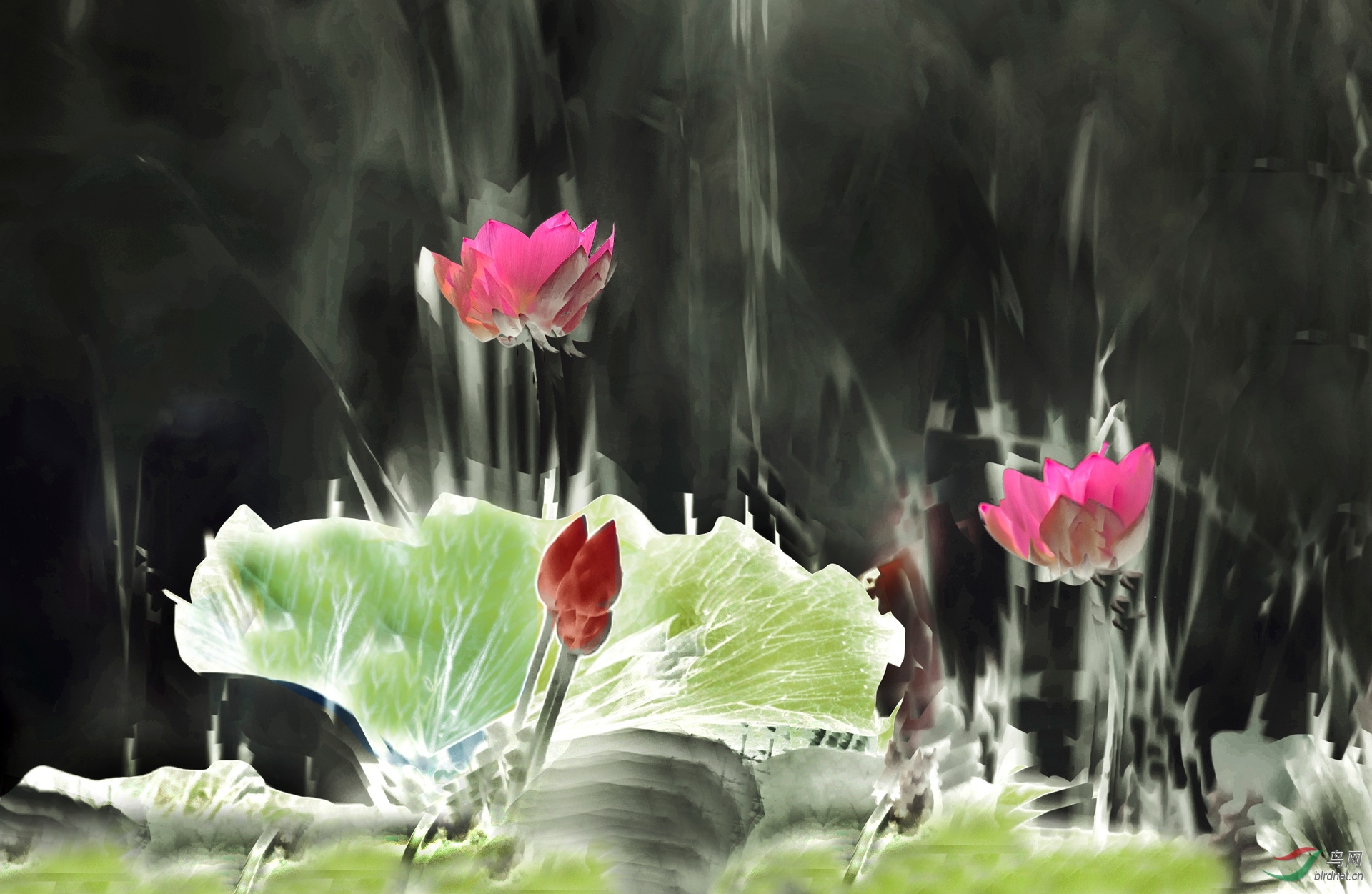 CI5A1109���� - ���� - ����.jpg